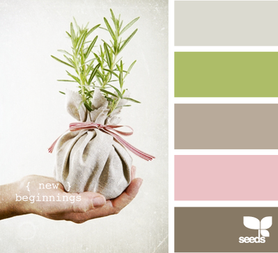 Introduction to Design Seeds Colour Palettes by JDL Homes Vancouver.