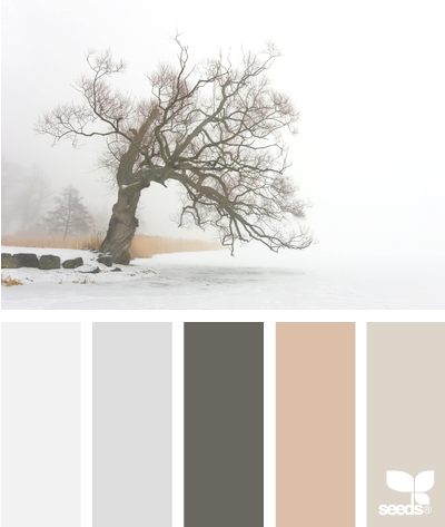 Design Seeds winter palette